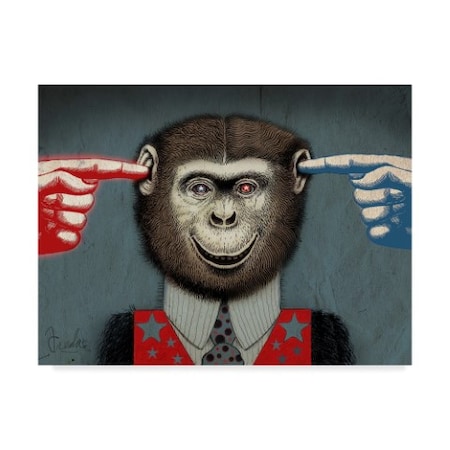 Anthony Freda 'Monkey Fool' Canvas Art,14x19